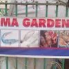 zuma garden 1
