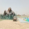 impact hi