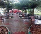 Tree Club Park