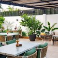outdoor-terrace-shisha