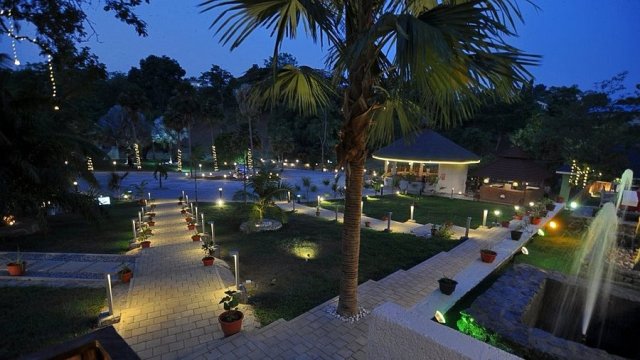 Cilantro Abuja