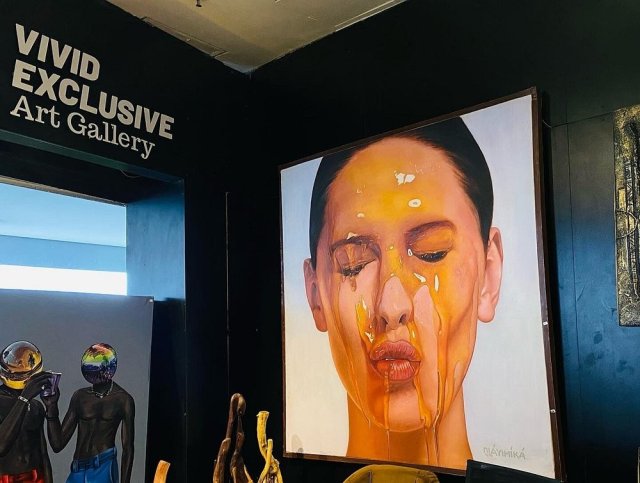 Vivid Exclusive Art Gallery